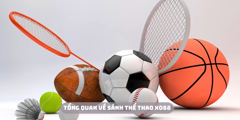 Thể thao Xo88 là một sân chơi có chất lượng vượt trội